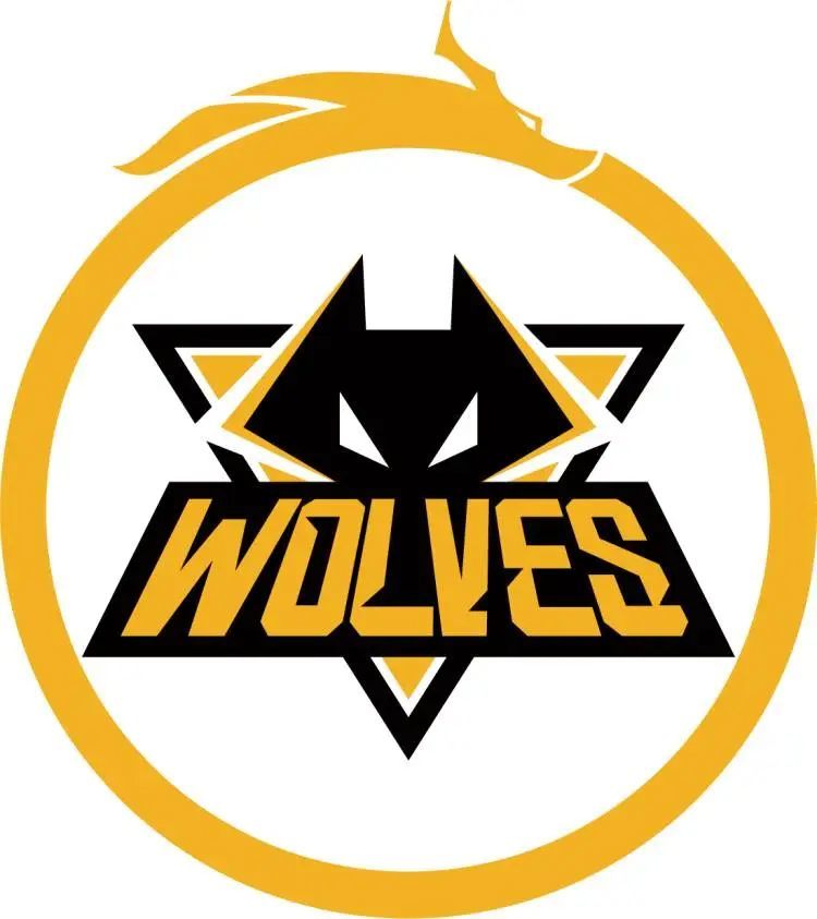 The MongolZ 对阵 Liquid， FURIA Esports 在 FISSURE Playground 2 半决赛中迎战 Falcons